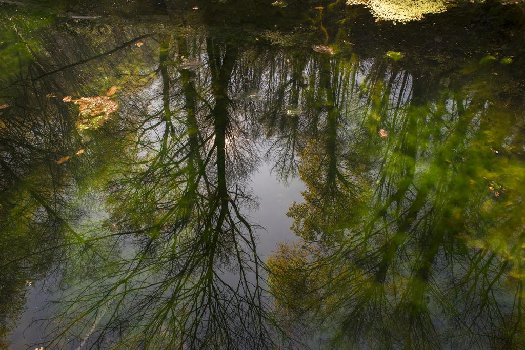 Quinta Do Fontelo Villa Vouzela Bagian luar foto