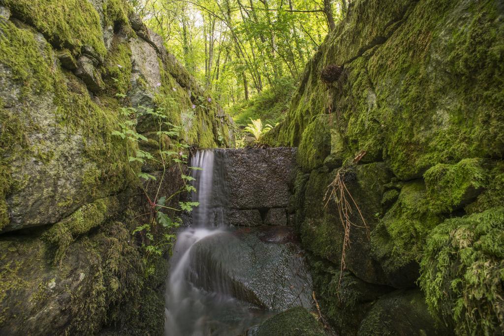 Quinta Do Fontelo Villa Vouzela Bagian luar foto