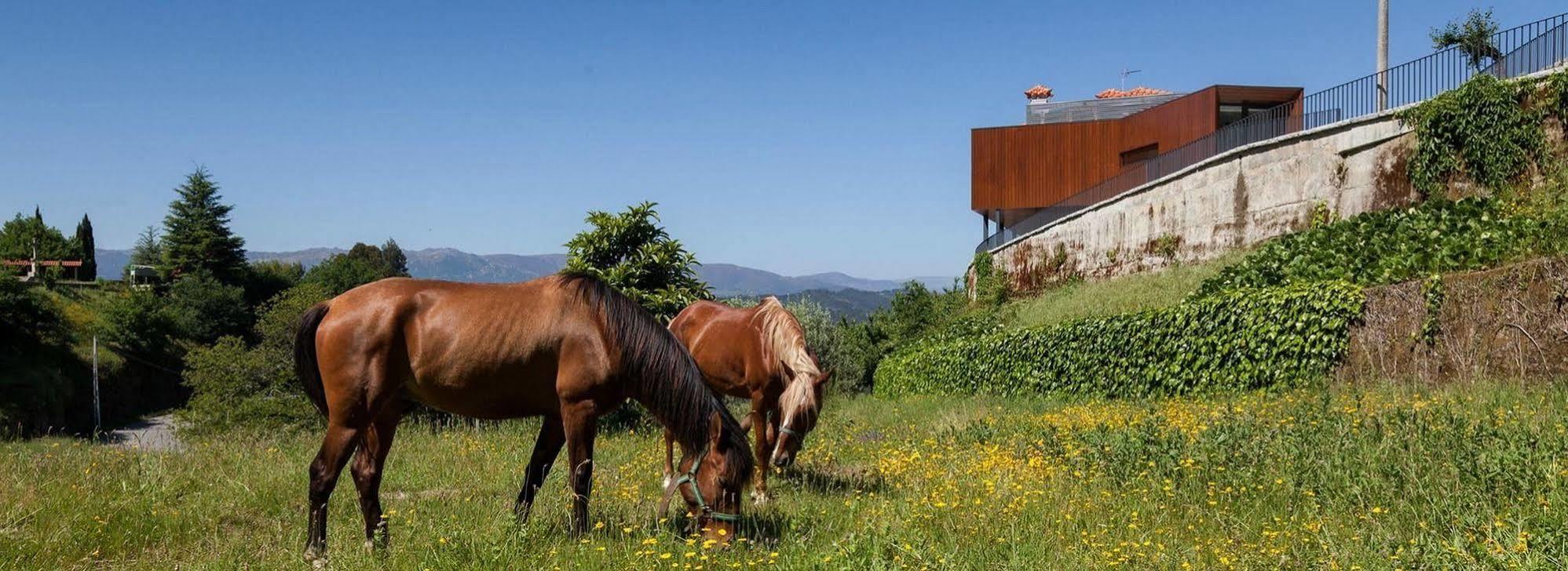 Quinta Do Fontelo Villa Vouzela Bagian luar foto