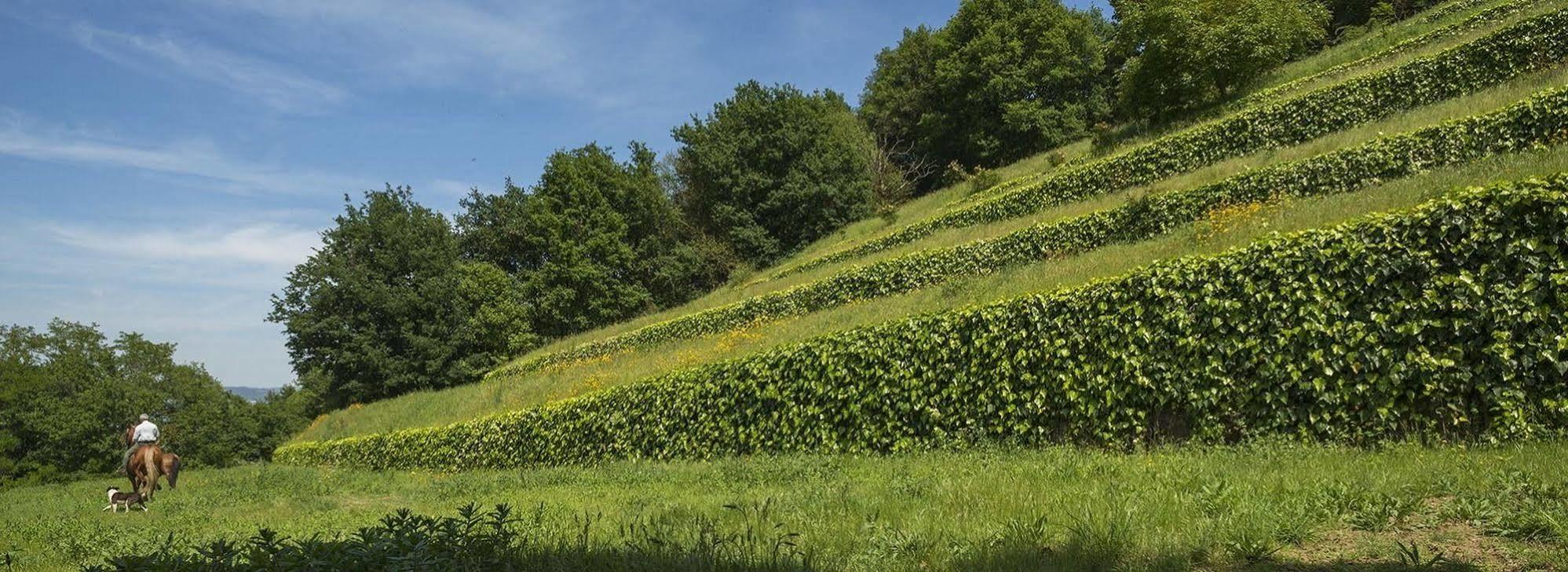 Quinta Do Fontelo Villa Vouzela Bagian luar foto