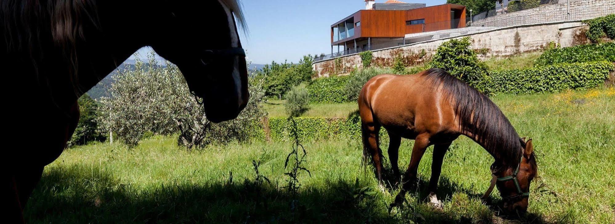 Quinta Do Fontelo Villa Vouzela Bagian luar foto