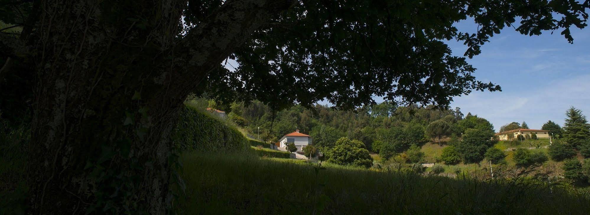 Quinta Do Fontelo Villa Vouzela Bagian luar foto