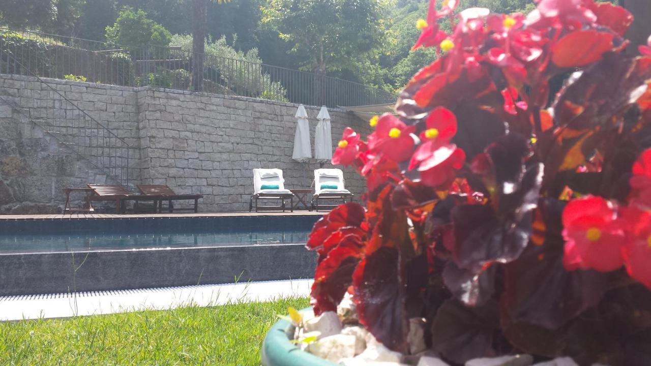 Quinta Do Fontelo Villa Vouzela Bagian luar foto